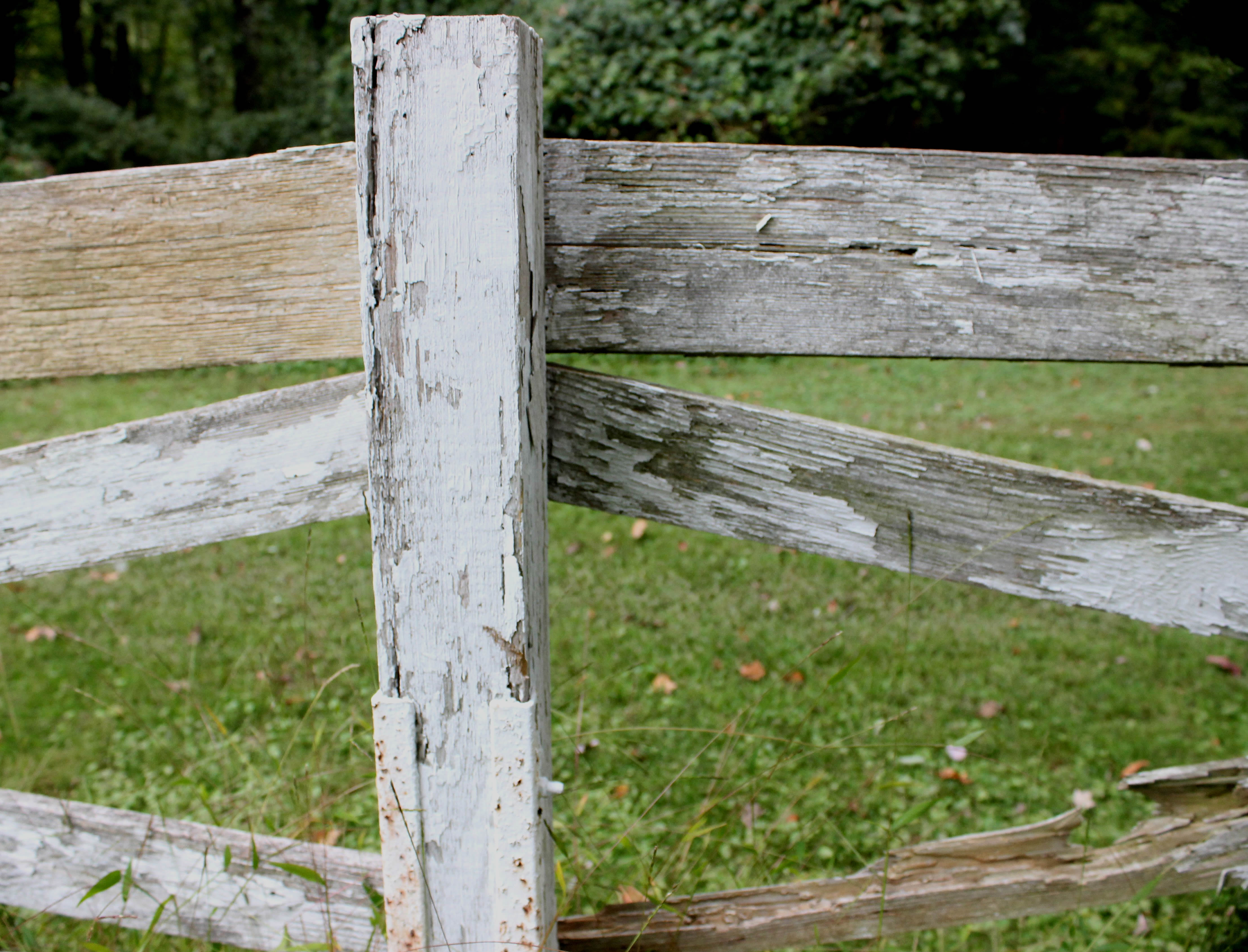 fence study 2