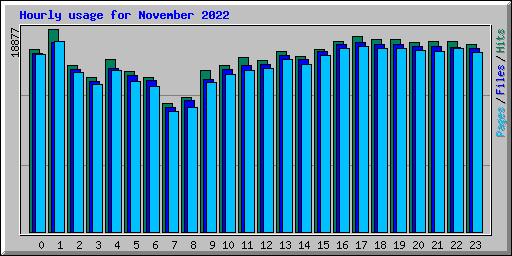 Hourly usage for November 2022